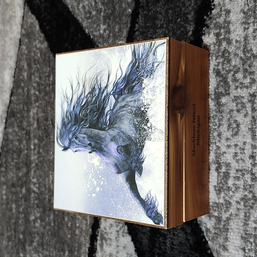 VINTAGE WINTER THUNDER HORSE MACKINAC ISLAND MICHIGAN CEDAR DECOR KEEPSAKE BOX